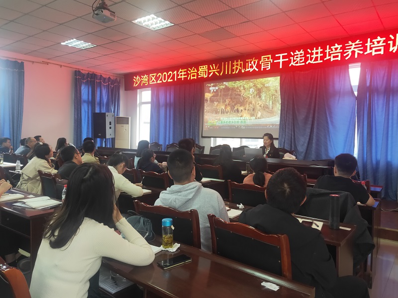 4典型案例精彩解读.jpg