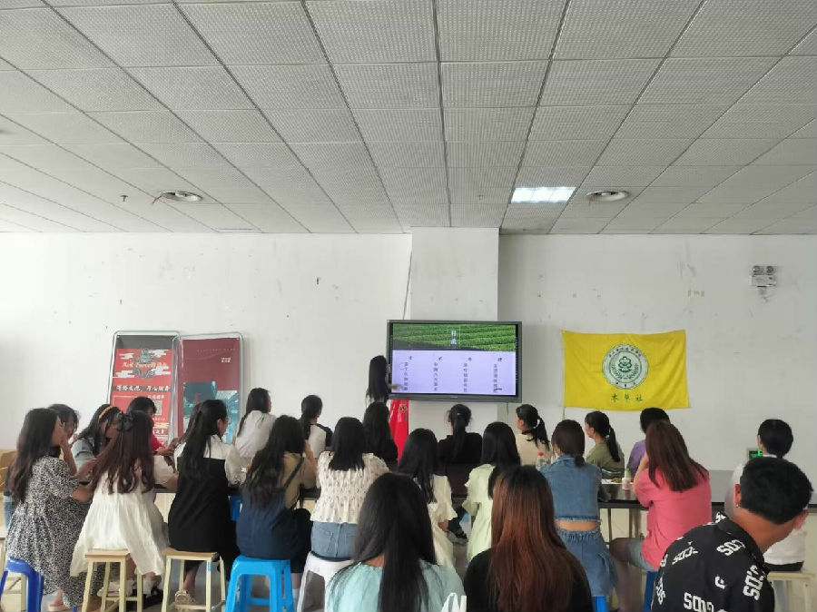 图片a19.jpg
